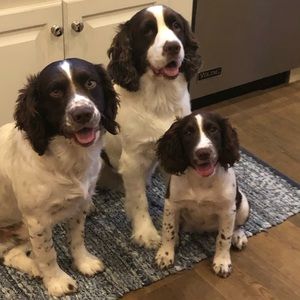 Meet your Posher, Matt